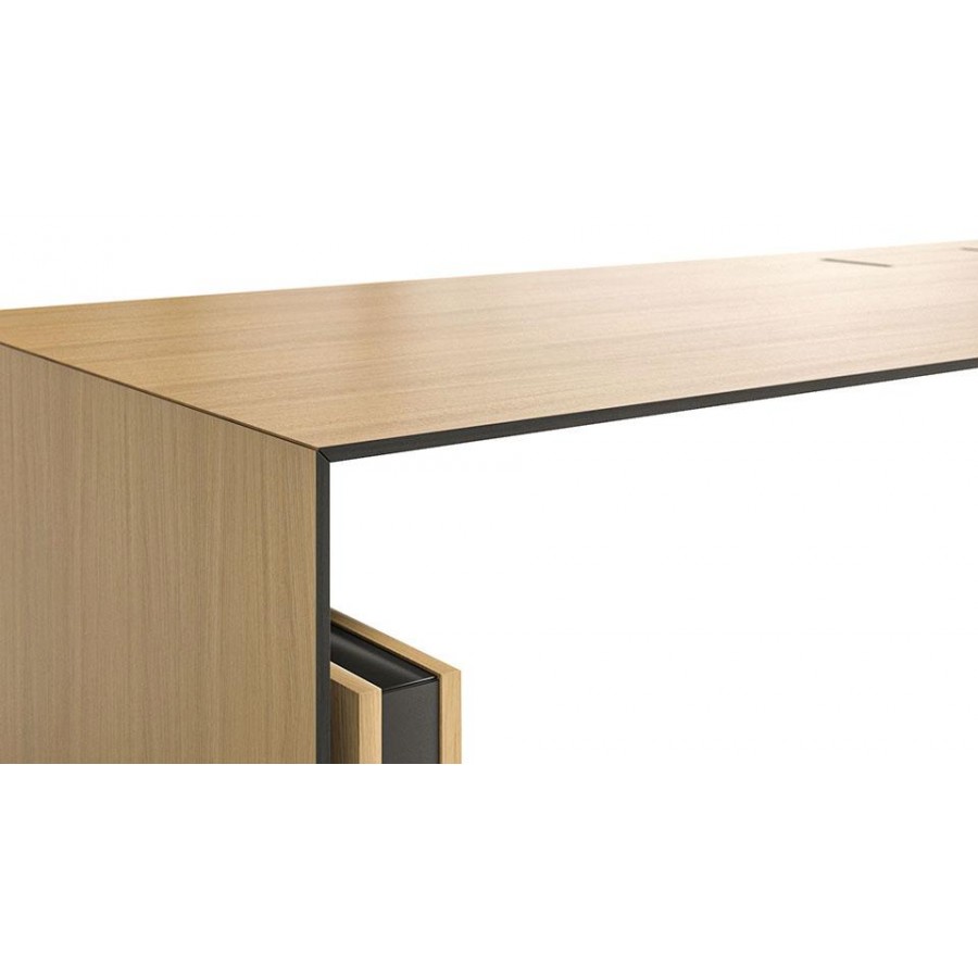 Motion Executive Desk